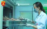 Hành trình để 